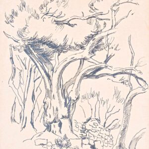 Alenka Gerlovič - Forest in 1949