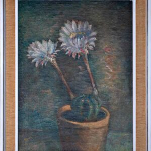 Anica Zupanec Sodnik - Cactus