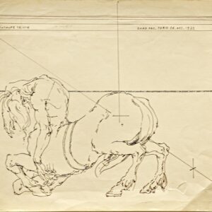 Bard Iucundus - Minotaur, 26. October 1973