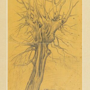 Fran Tratnik - A tree
