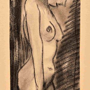 Jaro Prochazka - Nude with breasts to knees
